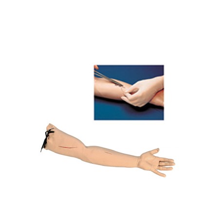 Simulador de sutura ( Brazo ) - Envío Gratuito